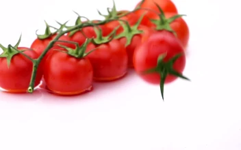 Free Video Stock tomato falling and bouncing into the water