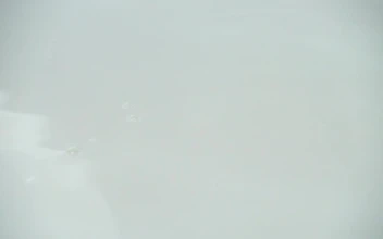 Free Video Stock tomato falling into clear water
