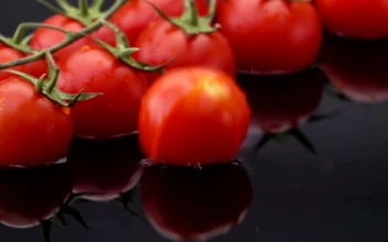 Free Video Stock tomato slices falling into water