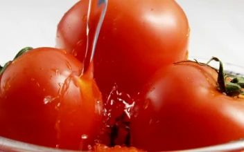 Free Video Stock tomatoes being washed