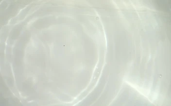 Free Video Stock tomatoes falling into a washing bowl