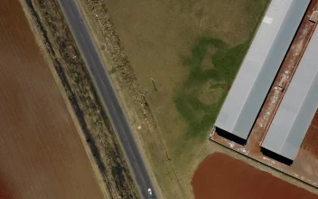 Free Video Stock top aerial shot of nursery gardens