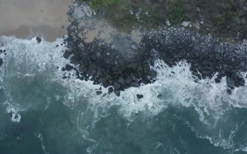 Free Video Stock top aerial shot of seashore with rocks