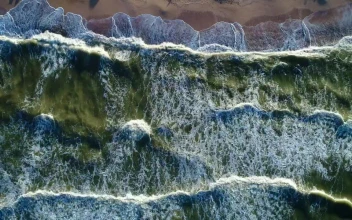 Free Video Stock top aerial view of the sea waves reaching a beach