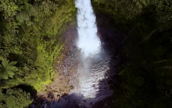 Free Video Stock top afar shot of a waterfall in the forest