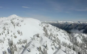 Free Video Stock top of a hill covered with snow and pines
