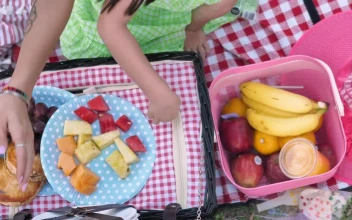 Free Video Stock top shot of a picnic in the park