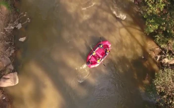Free Video Stock top shot of people rafting on a river