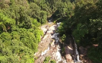 Free Video Stock top view of a waterfall in a jungle