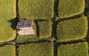 Free Video Stock top zoom out aerial shot in the countryside