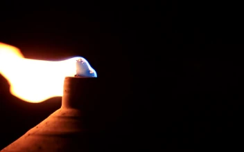 Free Video Stock torch burning in a cool breeze
