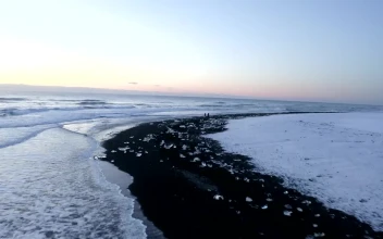 Free Video Stock tour on the seashore of a snowy winter beach