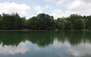 Free Video Stock touring a lake in the middle of a pine forest
