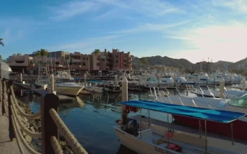 Free Video Stock touring a touristy and sunny port with boats and sailboats