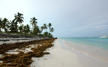Free Video Stock tourist boat heading by an island