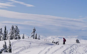 Free Video Stock tourist on top of a snowy mountain