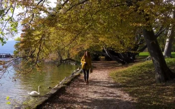 Free Video Stock tourist woman walking along the lake shore