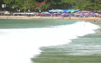 Free Video Stock tourists enjoying the tropical beach