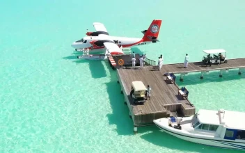 Free Video Stock tourists getting off a water plane on a pier