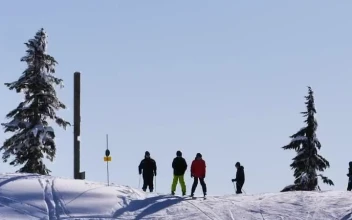 Free Video Stock tourists skiing on a snowy slope in canada