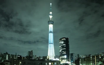 Free Video Stock tower of the tree of heaven