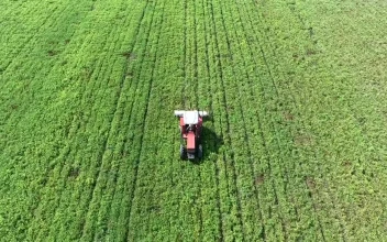 Free Video Stock tractor crosses a green field