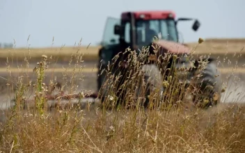 Free Video Stock tractor driving in the field