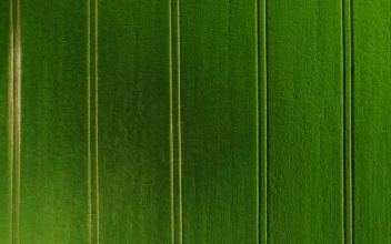 Free Video Stock tractor lanes in a green field