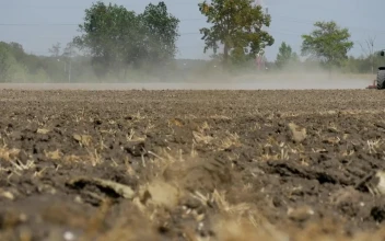 Free Video Stock tractor passing over a dirt field