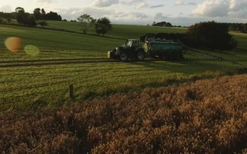 Free Video Stock tractor reversing down a hill