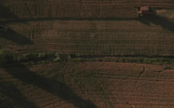 Free Video Stock tractor working a field