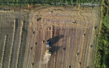 Free Video Stock tractor working in a field seen from above