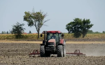 Free Video Stock tractor working on a field full shot