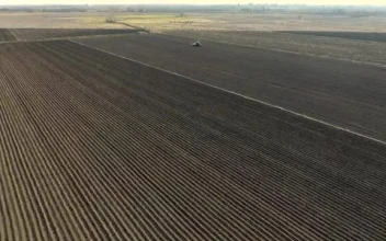 Free Video Stock tractor working on a large agricultural field
