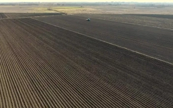Free Video Stock tractor working on a large agricultural field  large