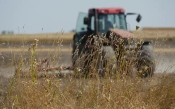 Free Video Stock tractor working on the agricultural field