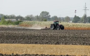 Free Video Stock tractor working on the field