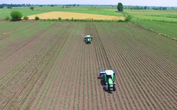 Free Video Stock tractors working on agricultural fields