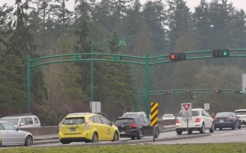 Free Video Stock traffic jam on a highway in a pine forest