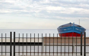 Free Video Stock train passing by the beach