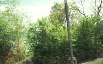 Free Video Stock train trip near country houses
