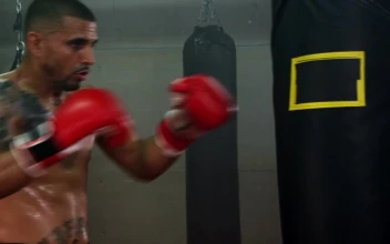 Free Video Stock training for a fight