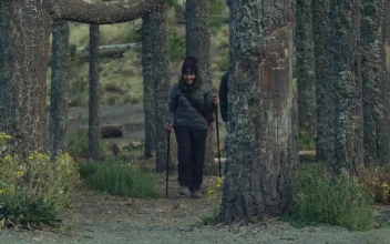 Free Stock Video Wedding Couple Hiking In The Forest
