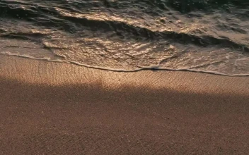 Free Stock Video Waves Reaching The Shore