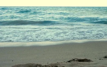 Free Stock Video Waves Of The Sea Reaching The Shore Of The Beach