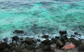 Free Stock Video Waves Breaking Over Dark Rocks