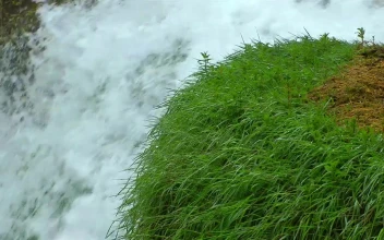 Free Stock Video Waterfall Seen Closely Static Shot