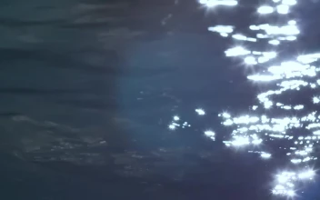 Free Stock Video Water Texture Of A Swimming Pool Waving