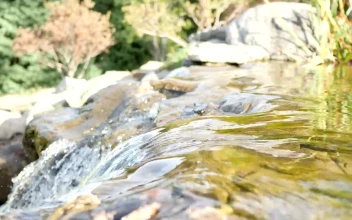 Free Stock Video Water Flowing Down The Rocks Of A River In Nature
