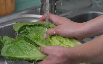 Free Stock Video Washing A Lettuce In The Kitchen